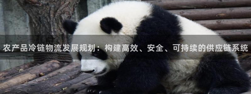 28圈加拿大下载：农产品冷链物流发展