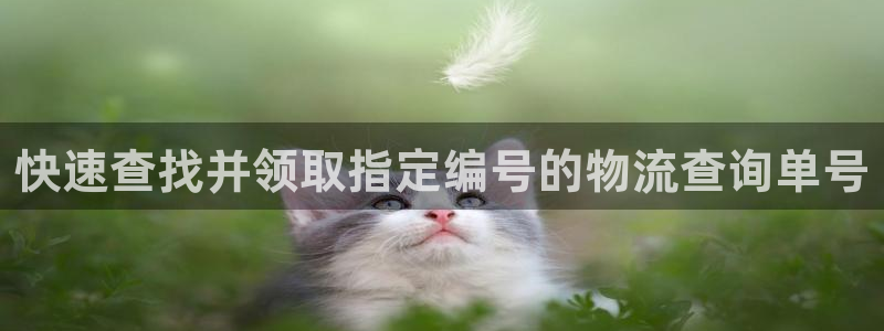 28圈激活码：快速查找并领取指定编号的物流查询单号