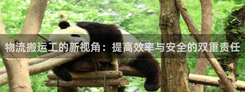 28圈官方平台:物流搬运工的新视角: