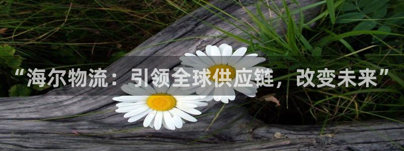 28圈圈助手:“海尔物流:引领全球供