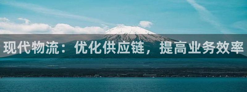 28圈激活码：现代物流：优化供应链，