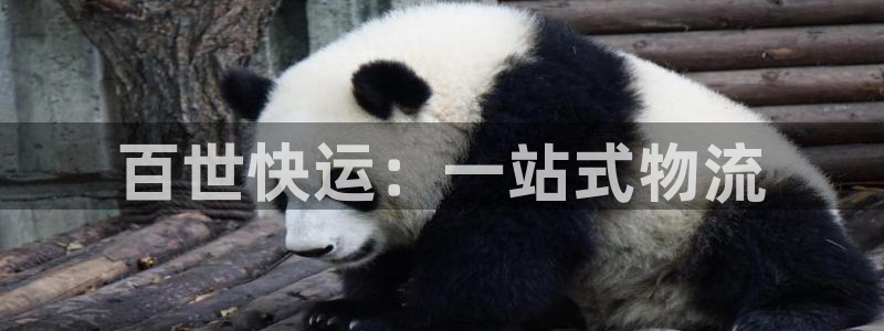 28圈注册限制怎么解除：百世快运：一