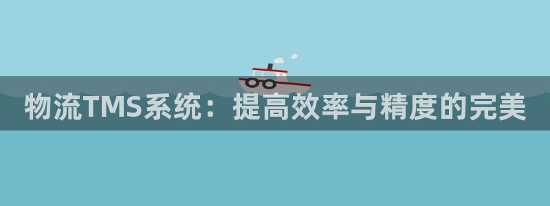 28圈可以退款吗：物流TMS系统：提高效率与精度的完美