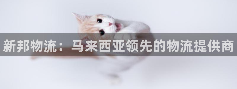 28圈技巧：新邦物流：马来西亚领先的