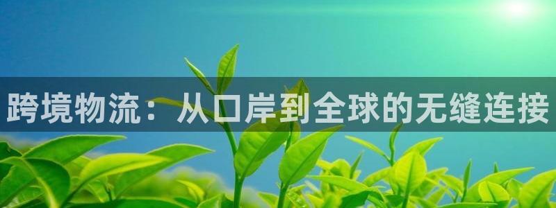 28圈游戏官网版:跨境物流:从口岸到