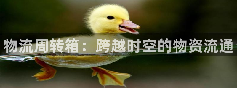 28圈返水怎么算的