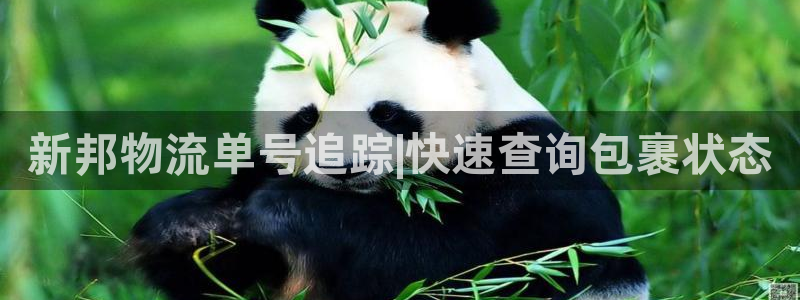 28圈加拿大预测：新邦物流单号追踪|