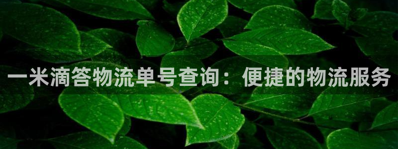 28圈登录：一米滴答物流单号查询：便