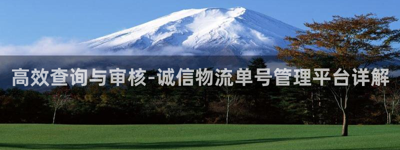 28圈预测加拿大师准