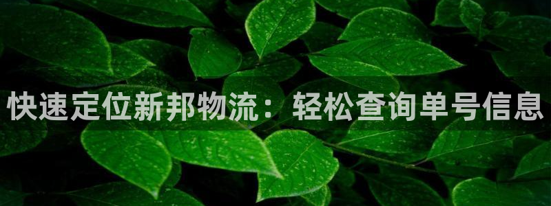 28圈链接来一个