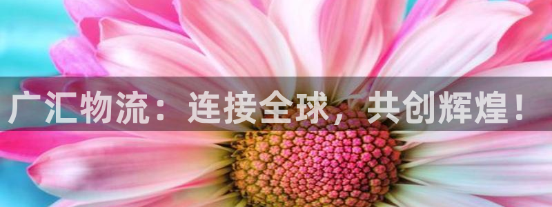 28圈登录网:广汇物流:连接全球,共