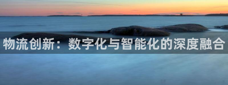 28圈官方版正版:物流创新:数字化与