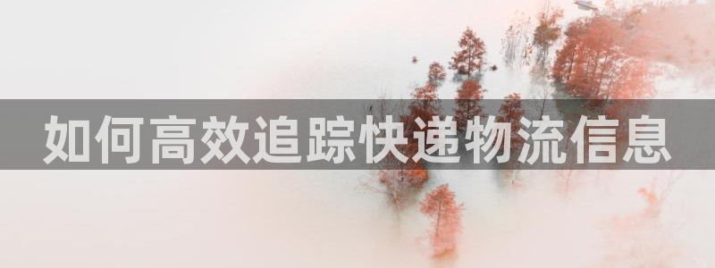 28圈注册网页版