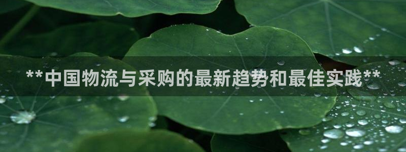 28圈游戏官网版