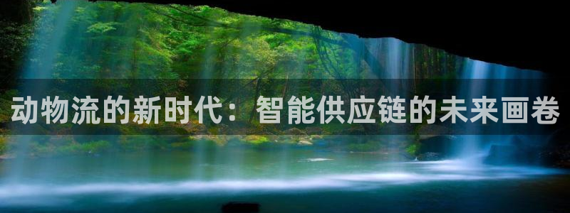 28圈注册用户名是什么
