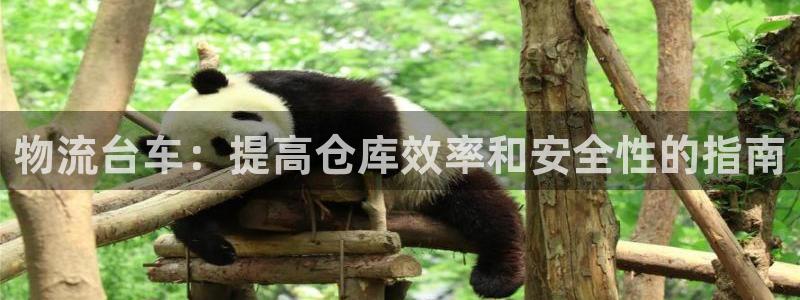 28圈注册上限是啥意思