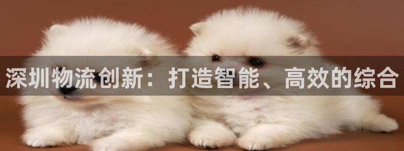 28圈推广链接是多少个