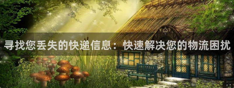 28圈分分28输了能不能退：寻找您丢失的快递信息：快速解决您