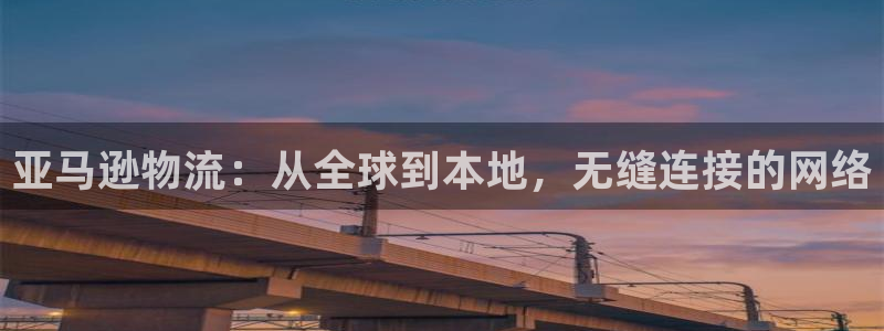 28圈充值不到账：亚马逊物流：从全球到本地，无缝连接的网络